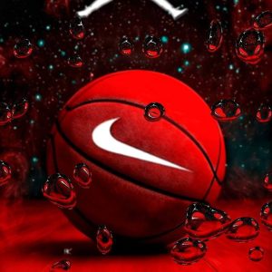 حوله ورزشی بسکتبال کد 8270